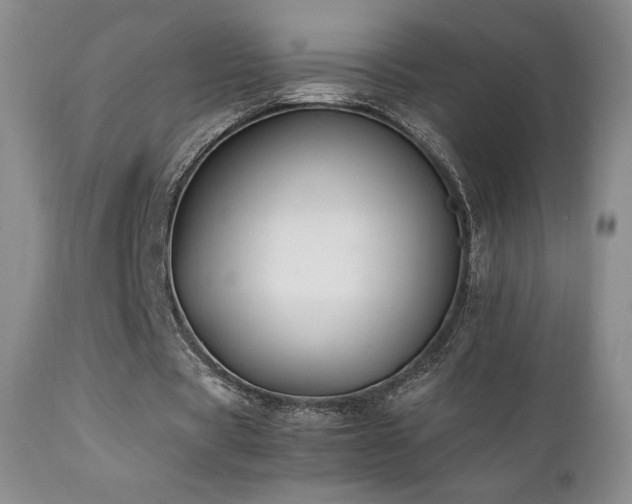 X0000111210529200907011446