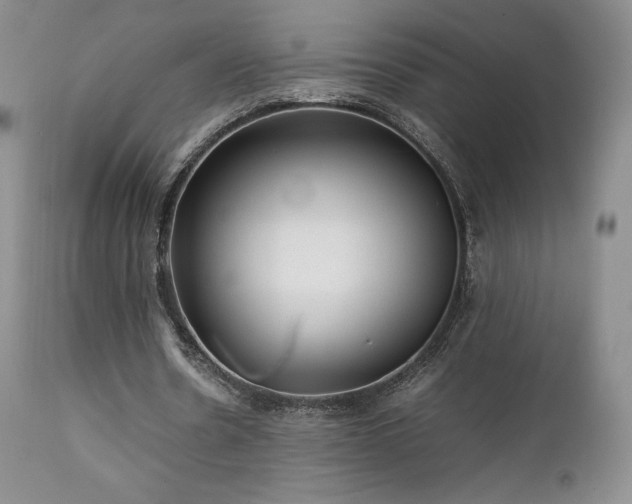 X0000111210530200907011446