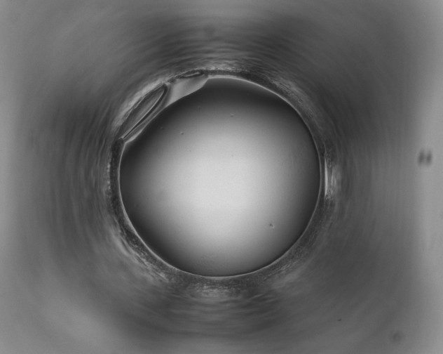 X0000111210531200907011446