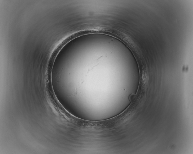 X0000111210532200907011446