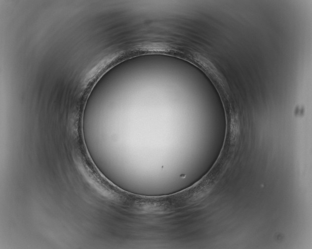 X0000111210533200907011446