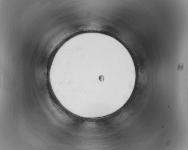 X0000111210534200907011446