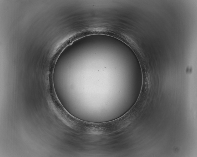 X0000111210535200907011446