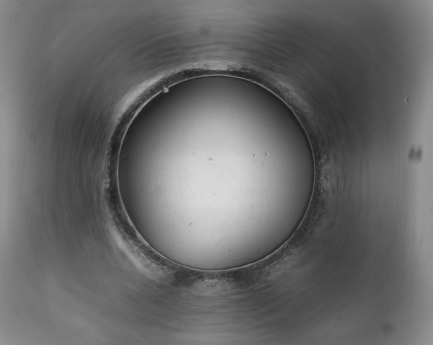 X0000111210536200907011446