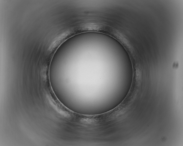 X0000111210537200907011446