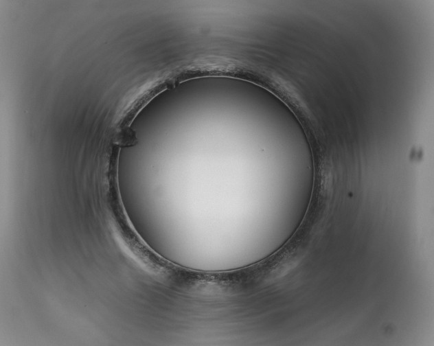 X0000111210538200907011446