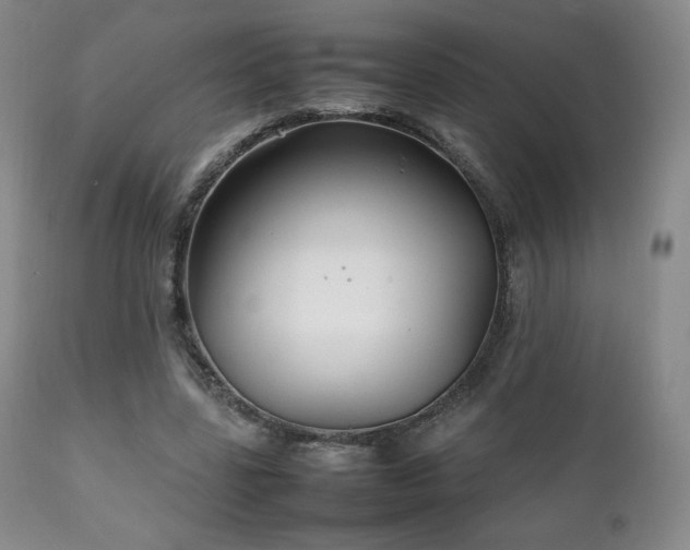 X0000111210539200907011446