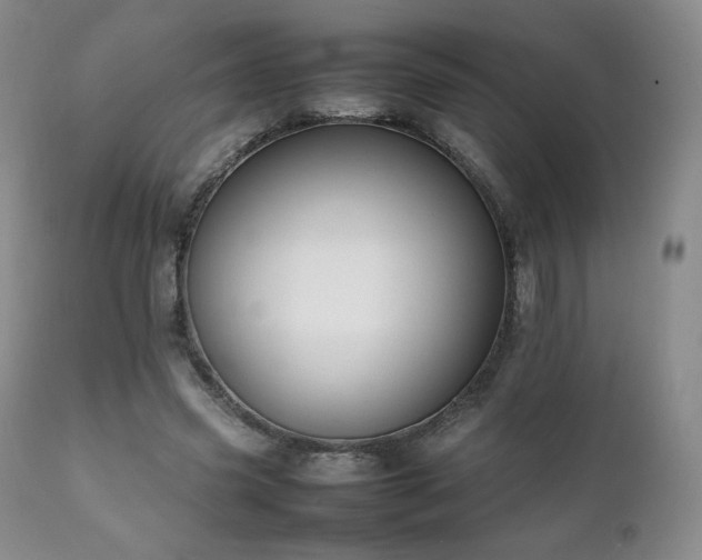 X0000111210541200907011446