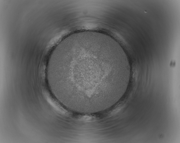 X0000111210542200907011446