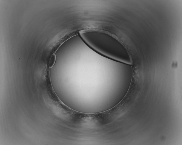 X0000111210544200907011446