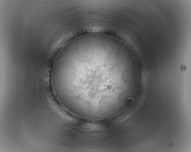 X0000111210545200907011446