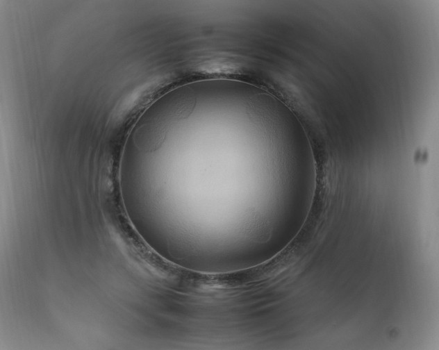 X0000111210547200907011446