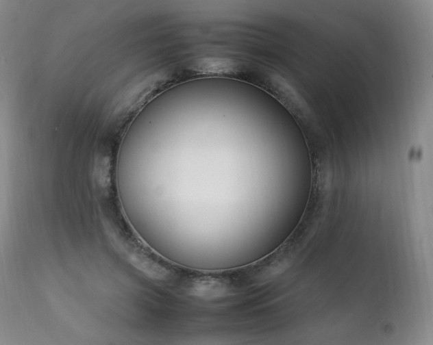 X0000111210549200907011446