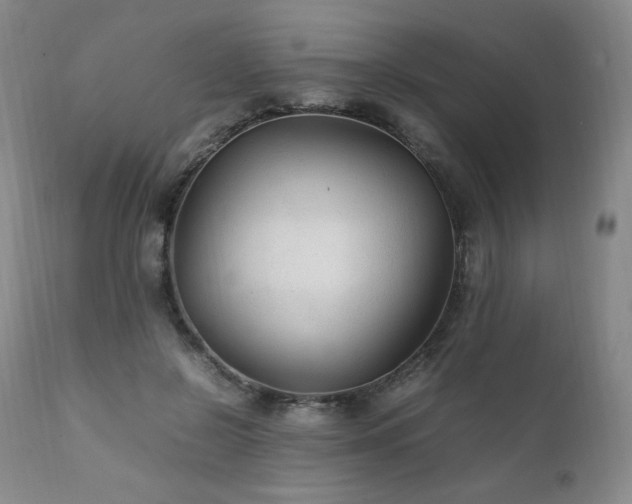 X0000111210550200907011446