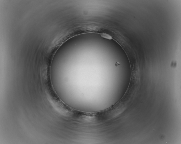 X0000111210552200907011447