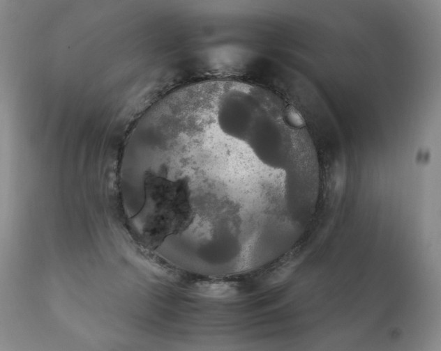 X0000111210553200907011447