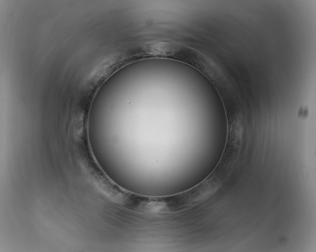 X0000111210554200907011447