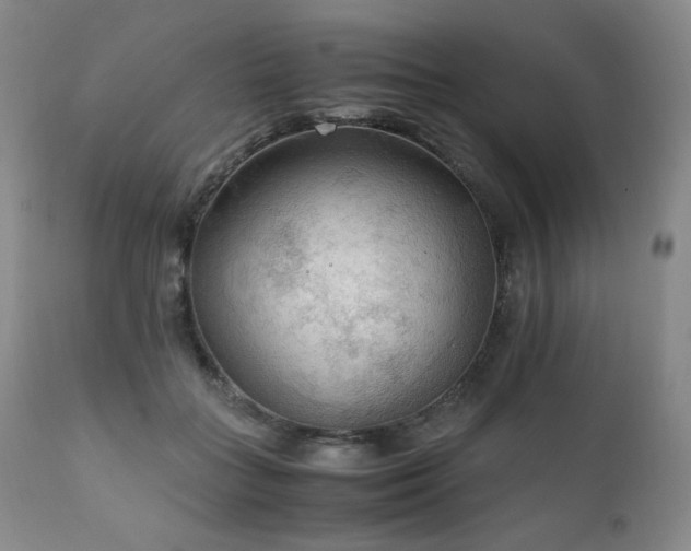 X0000111210555200907011447