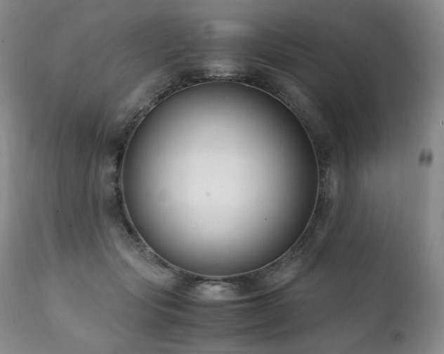 X0000111210557200907011447