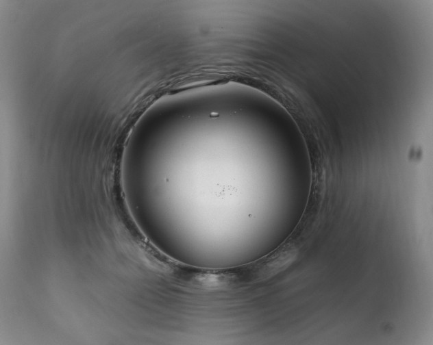 X0000111210558200907011447