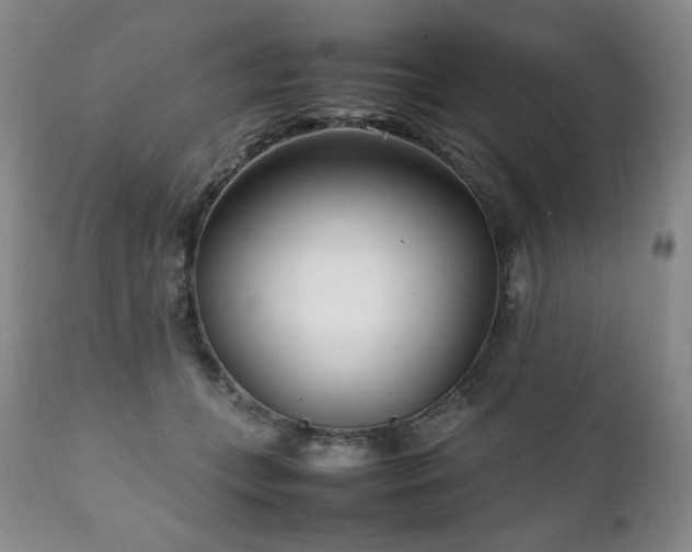 X0000111210559200907011447