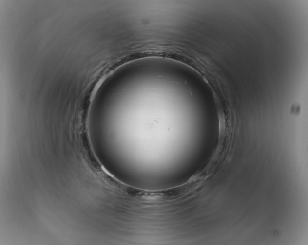 X0000111210560200907011447