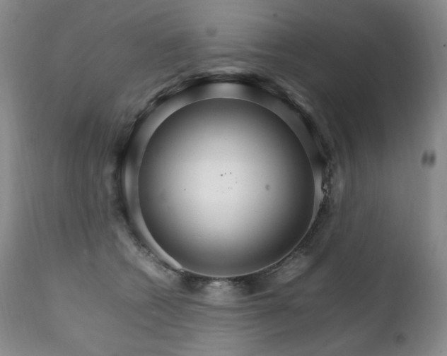 X0000111210562200907011447