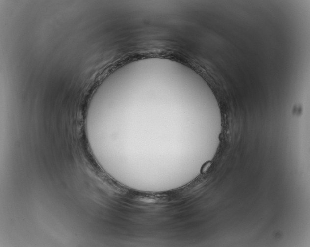 X0000111210563200907011447