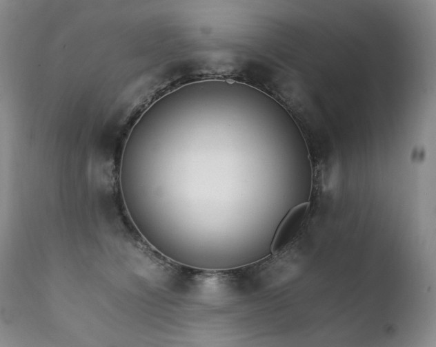 X0000111210564200907011447