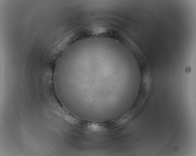 X0000111210565200907011447