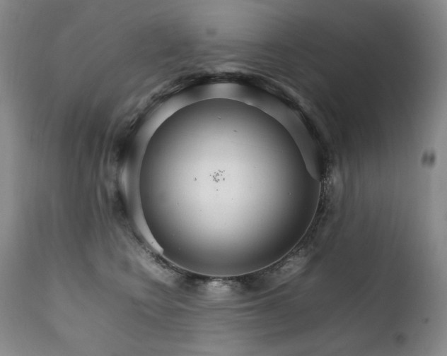 X0000111210566200907011447