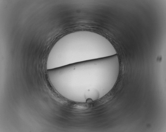 X0000111210567200907011447