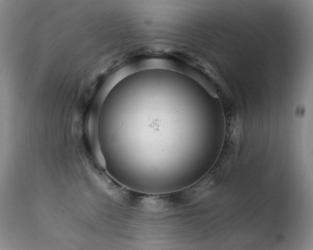 X0000111210568200907011447