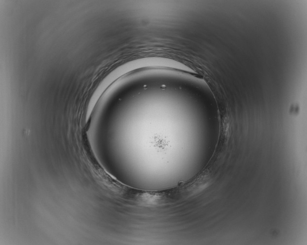 X0000111210570200907011447