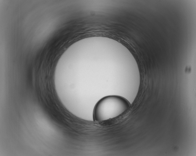 X0000111210572200907011447