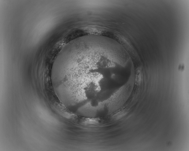 X0000111210573200907011447