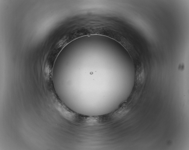 X0000111210574200907011447