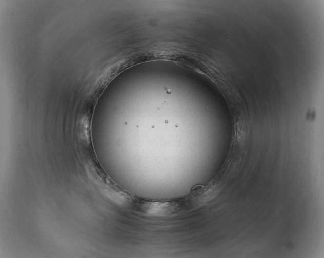 X0000111210575200907011447