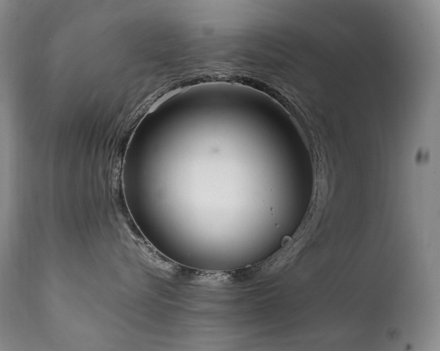 X0000111210576200907011447