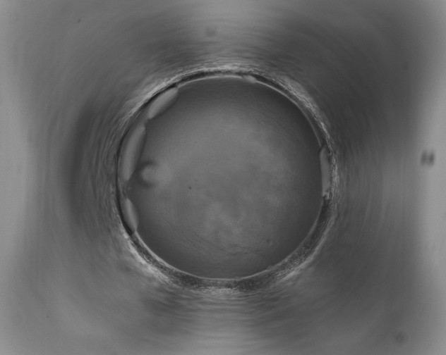 X0000111210577200907011446