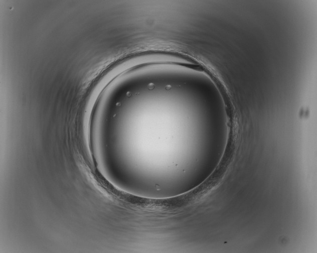 X0000111210581200907011446