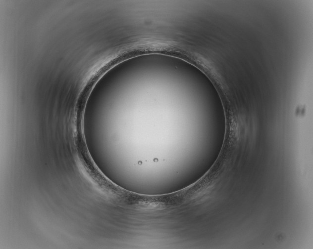 X0000111210582200907011446