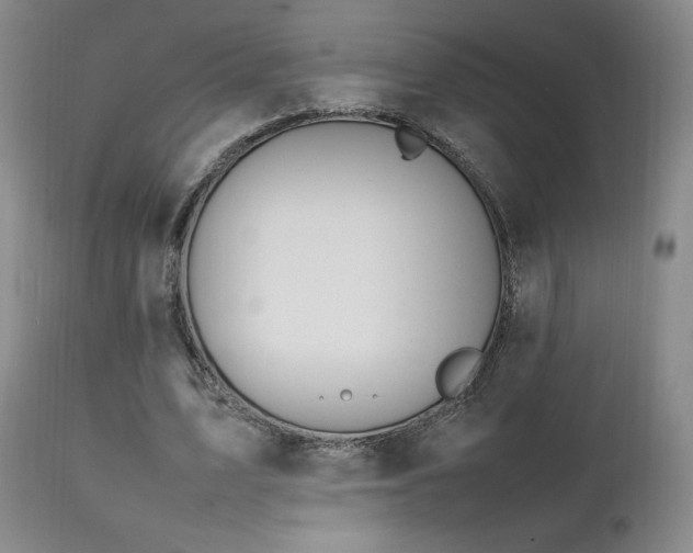 X0000111210583200907011446