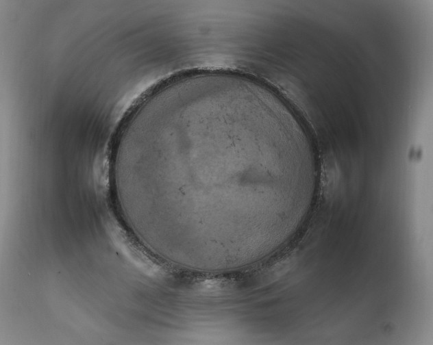 X0000111210584200907011446