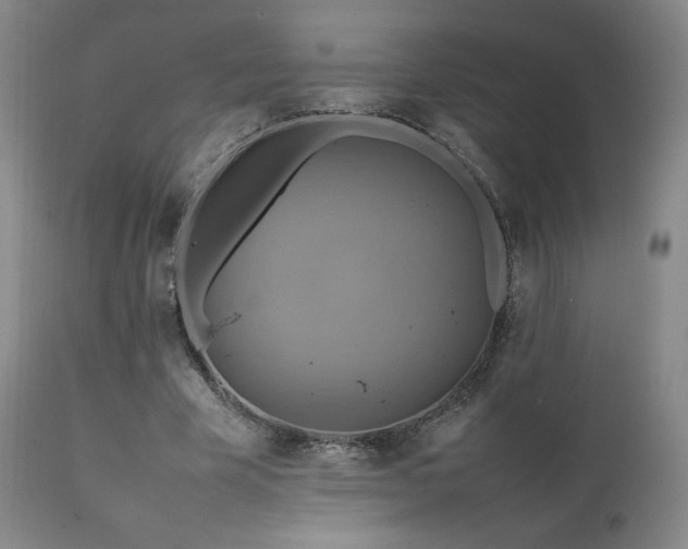 X0000111210585200907011446