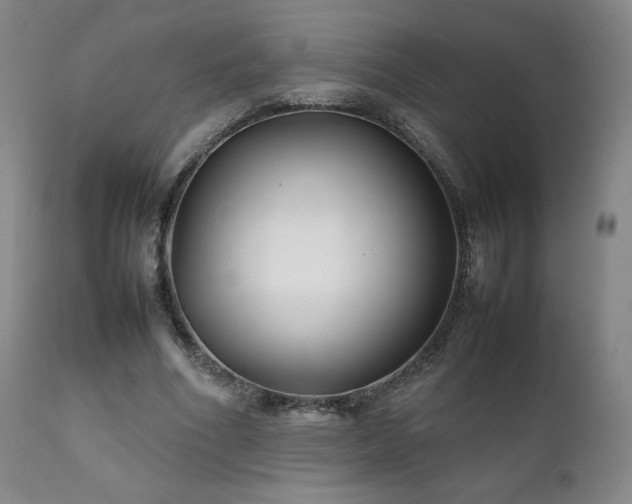 X0000111210586200907011446