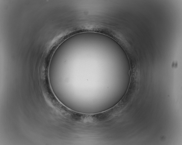 X0000111210587200907011446