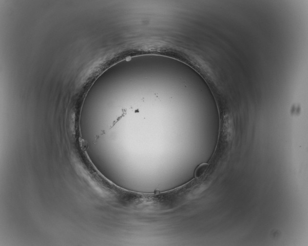 X0000111210589200907011446