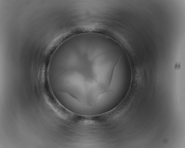 X0000111210590200907011446