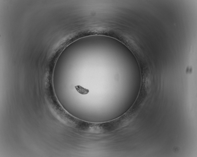 X0000111210591200907011446